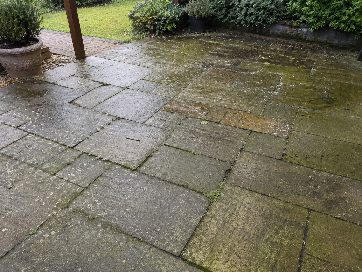 Patio before cleaning — green algae and moss